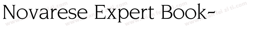 Novarese Expert Book字体转换